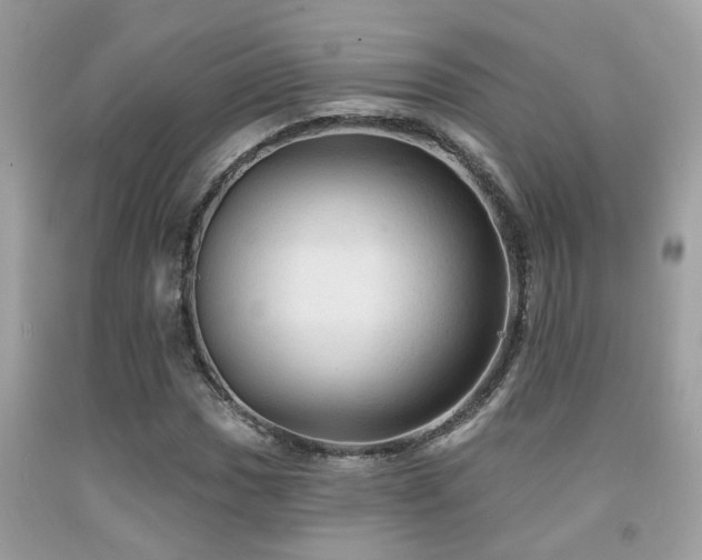 X0000092031017200709061610
