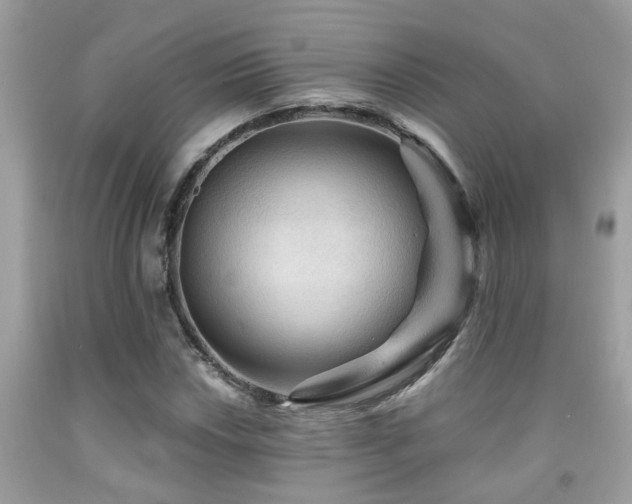 X0000092031018200709061610