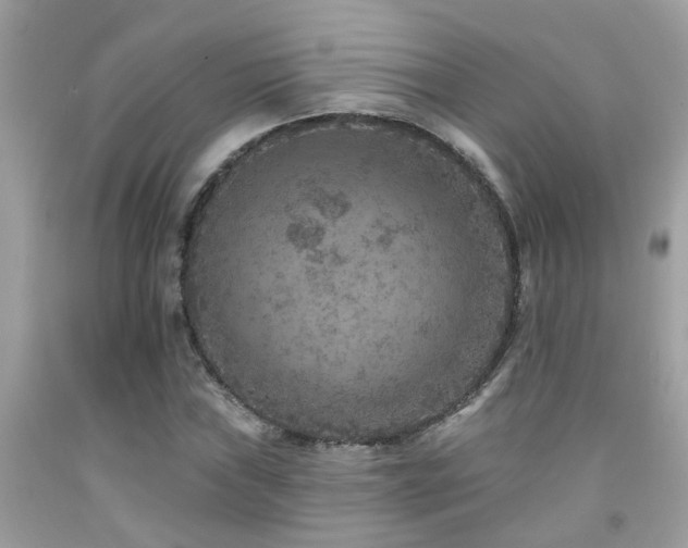 X0000092031019200709061610