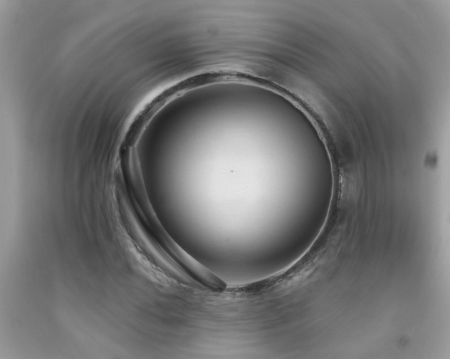 X0000092031020200709061610