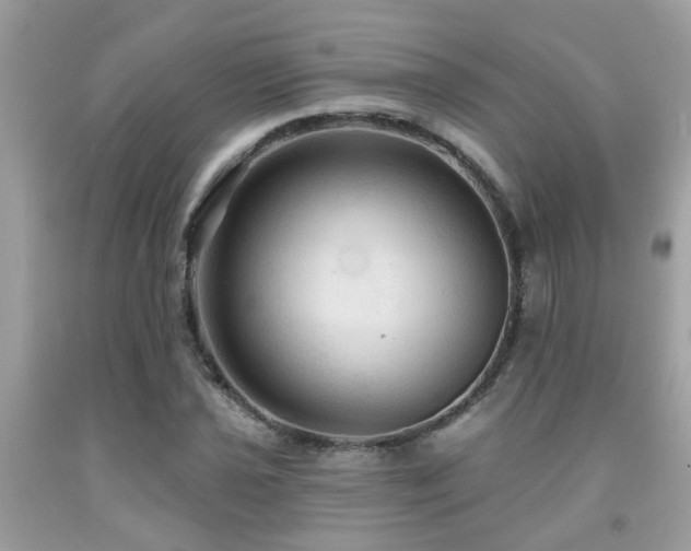 X0000092031021200709061610
