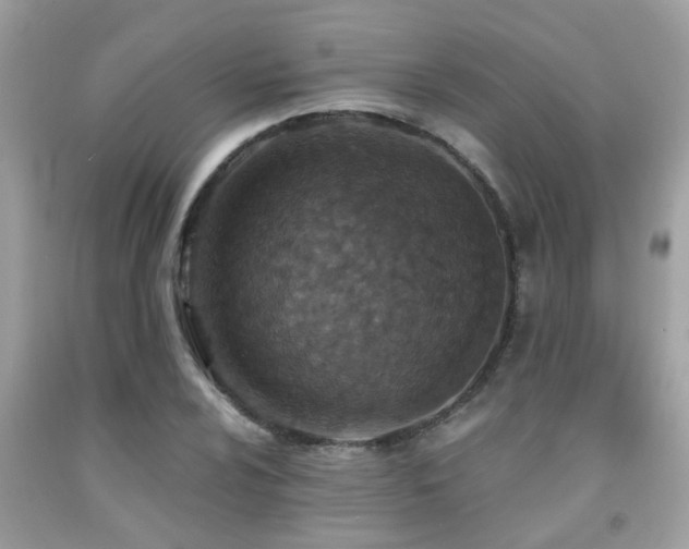 X0000092031024200709061610