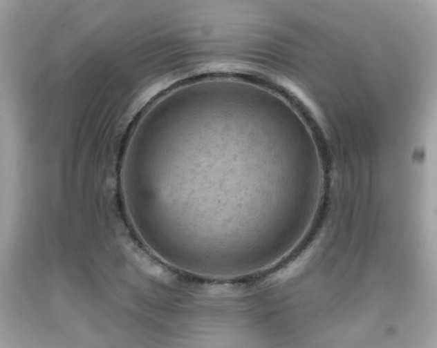 X0000092031025200709061610