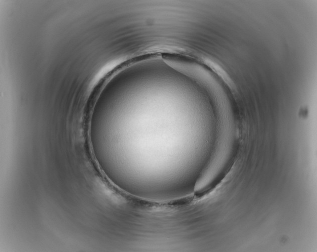 X0000092031026200709061610