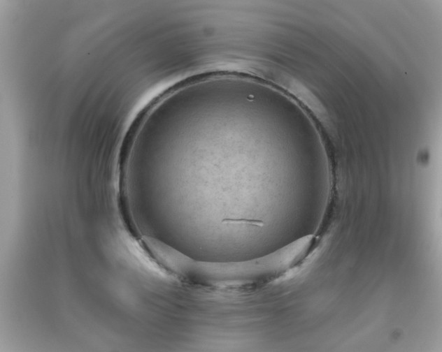 X0000092031028200709061610