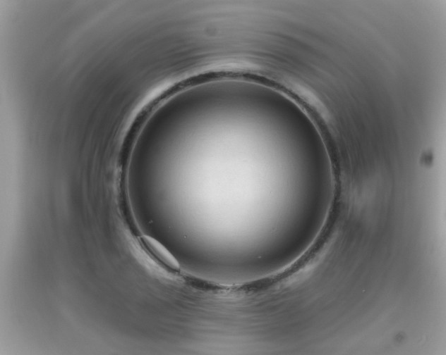 X0000092031029200709061610
