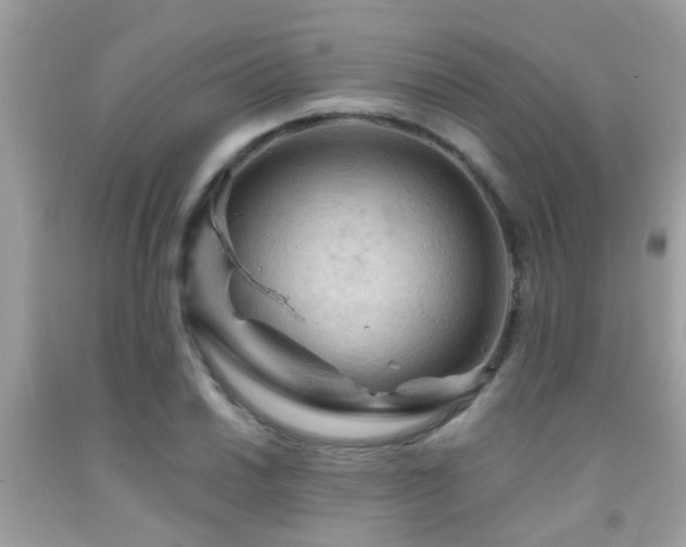 X0000092031030200709061610