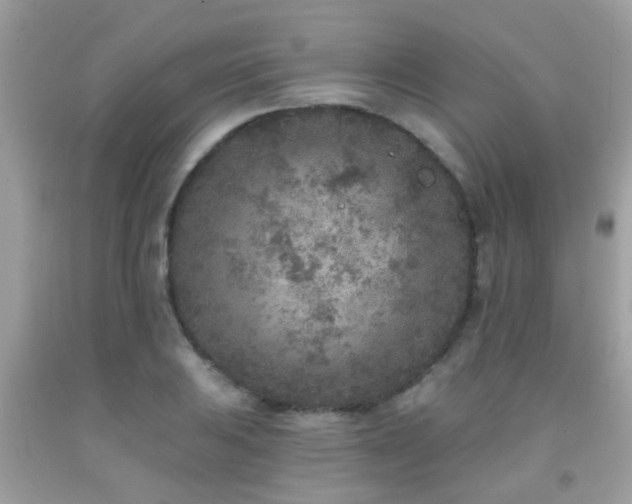 X0000092031031200709061610