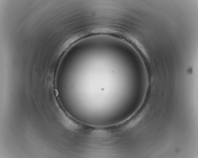 X0000092031033200709061610