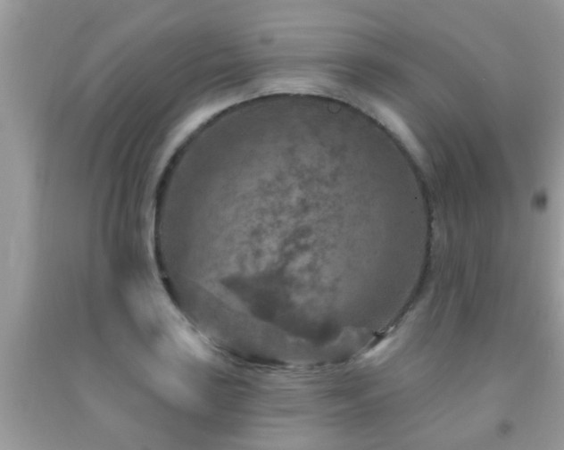 X0000092031035200709061610