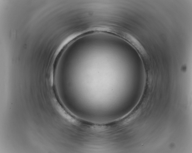 X0000092031036200709061610