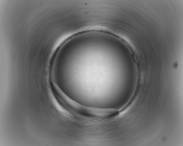 X0000092031038200709061610