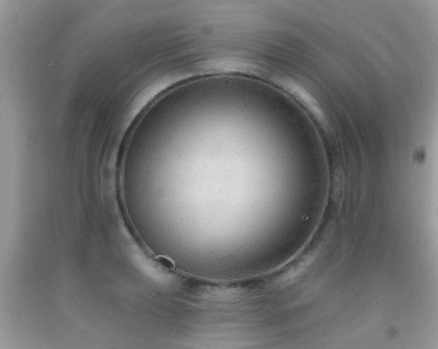 X0000092031039200709061610