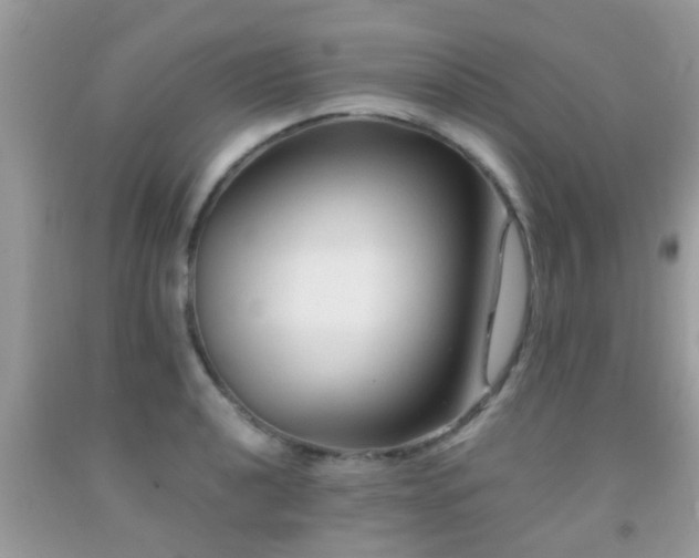 X0000092031040200709061610