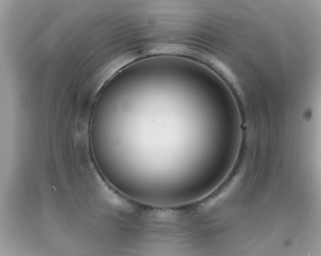 X0000092031041200709061610