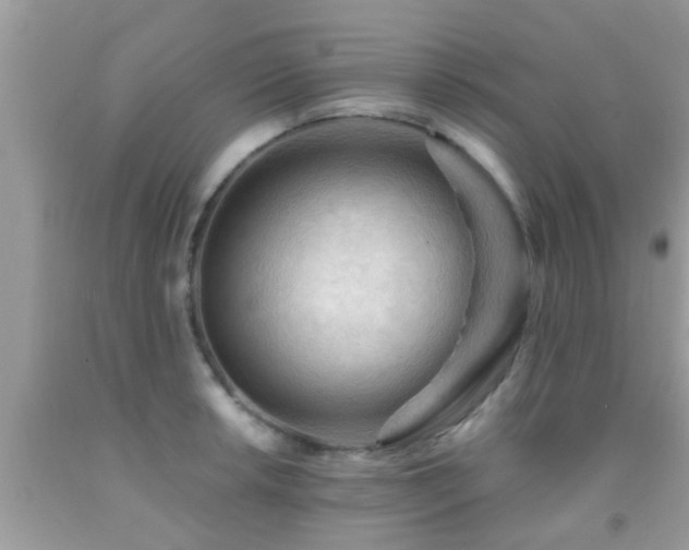 X0000092031042200709061610