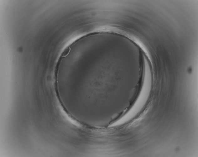 X0000092031045200709061610