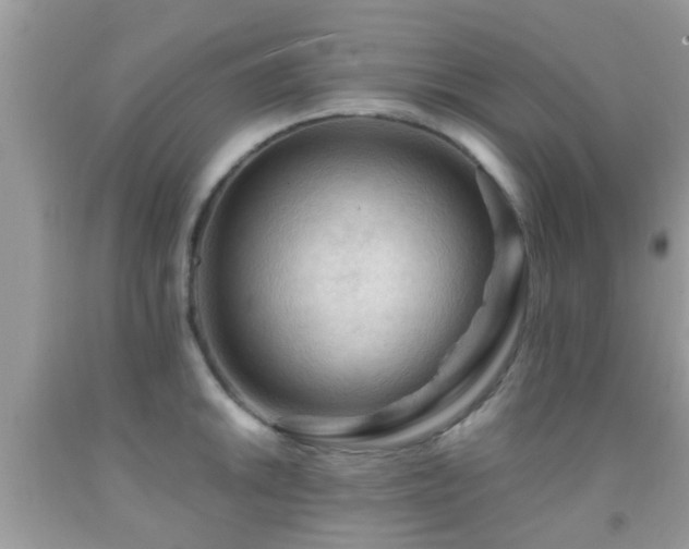 X0000092031046200709061610