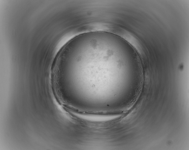X0000092031047200709061610