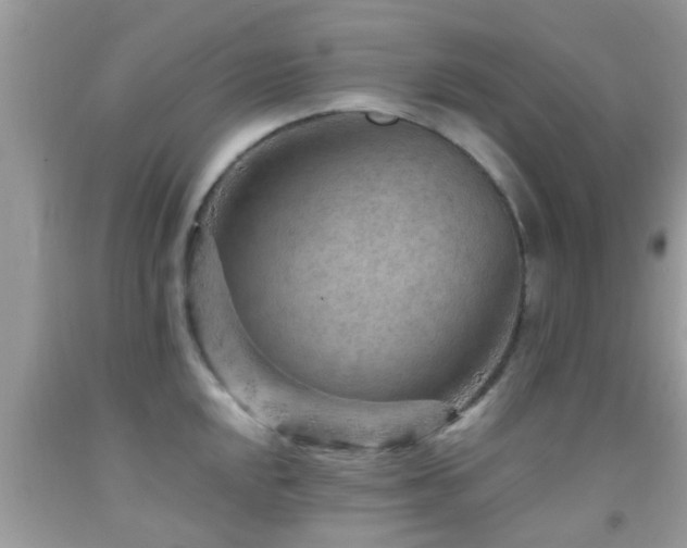 X0000092031048200709061610