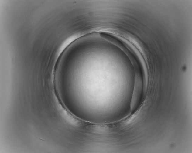 X0000092031050200709061610
