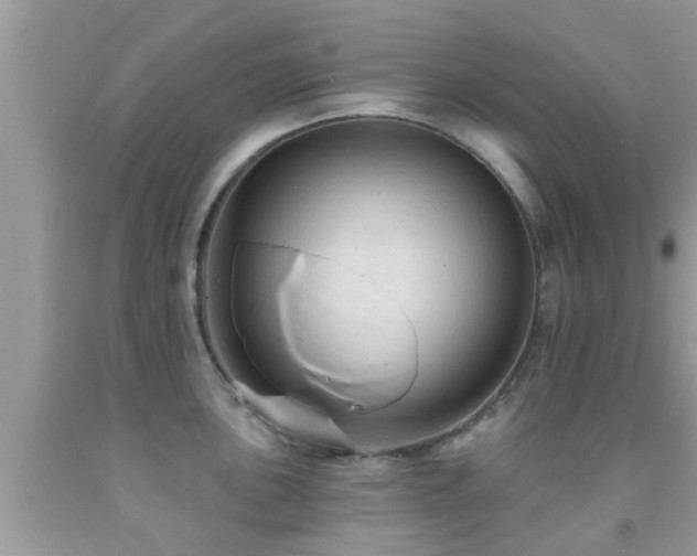 X0000092031051200709061610
