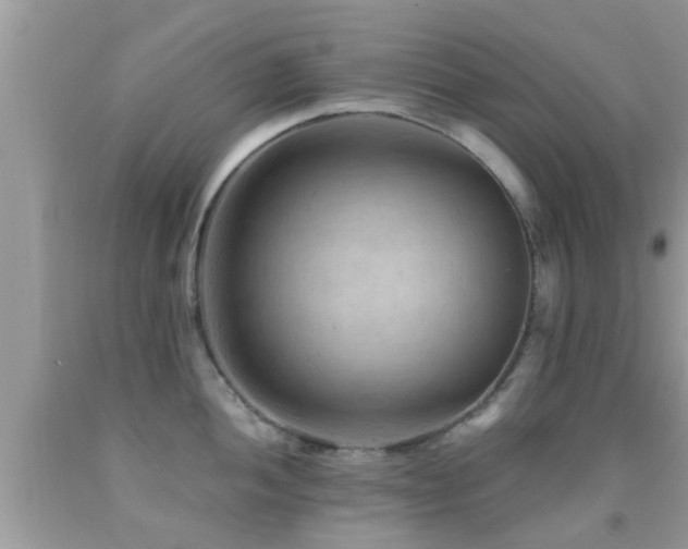 X0000092031052200709061610