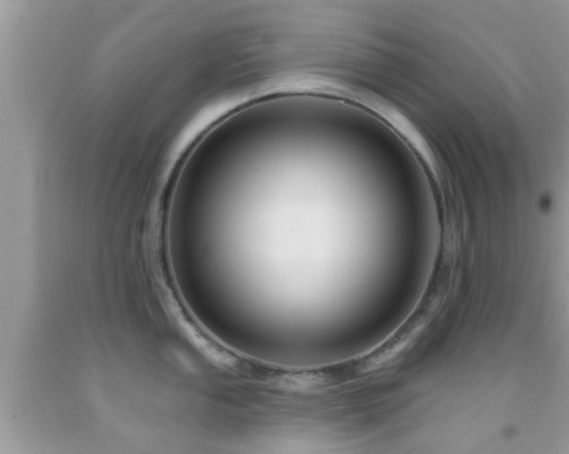 X0000092031053200709061610