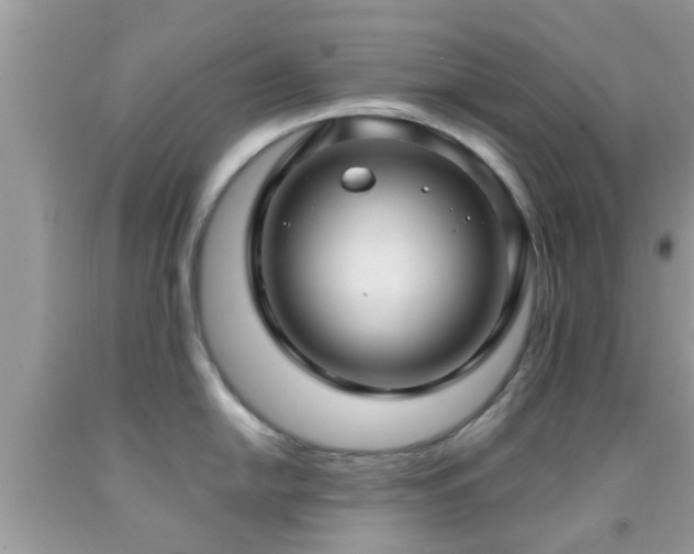 X0000092031054200709061610