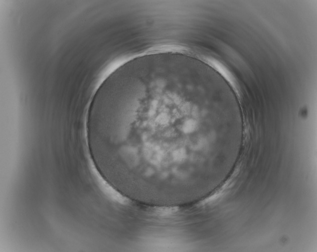 X0000092031055200709061610