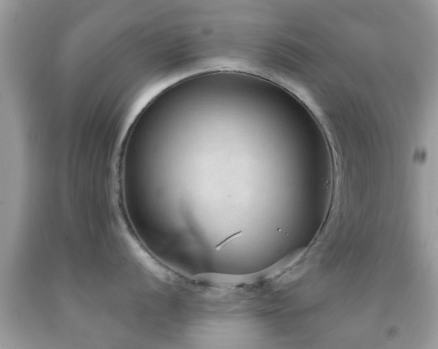 X0000092031056200709061611
