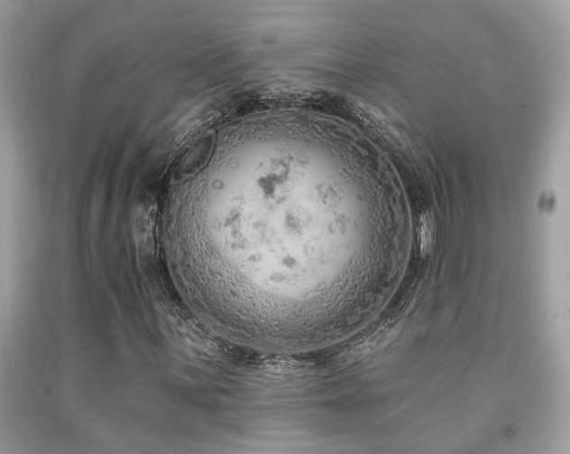 X0000092031059200709061610