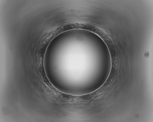 X0000092031061200709061610