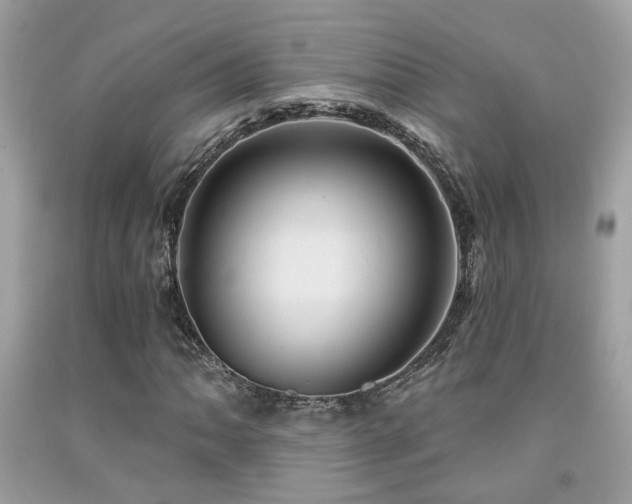 X0000092031062200709061610