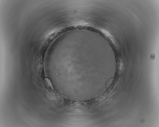 X0000092031063200709061610
