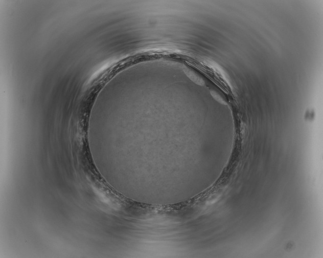 X0000092031064200709061610