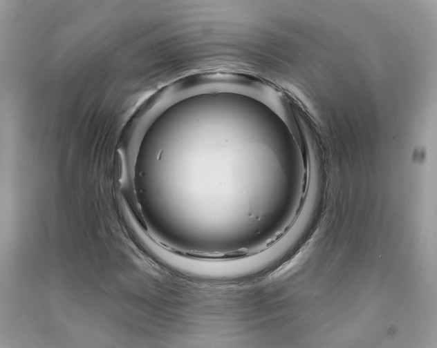 X0000092031065200709061610