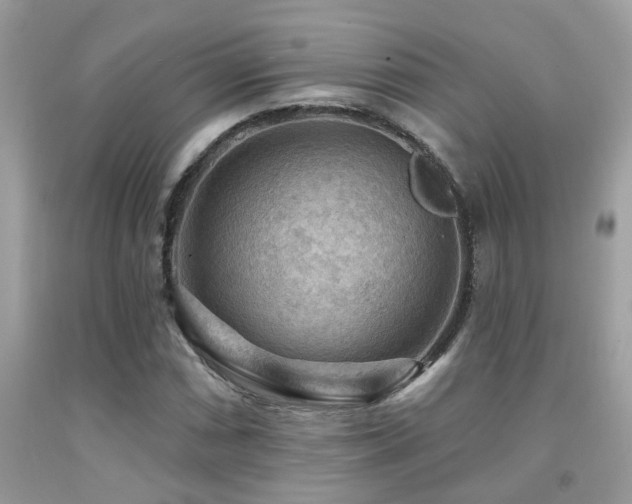 X0000092031066200709061610