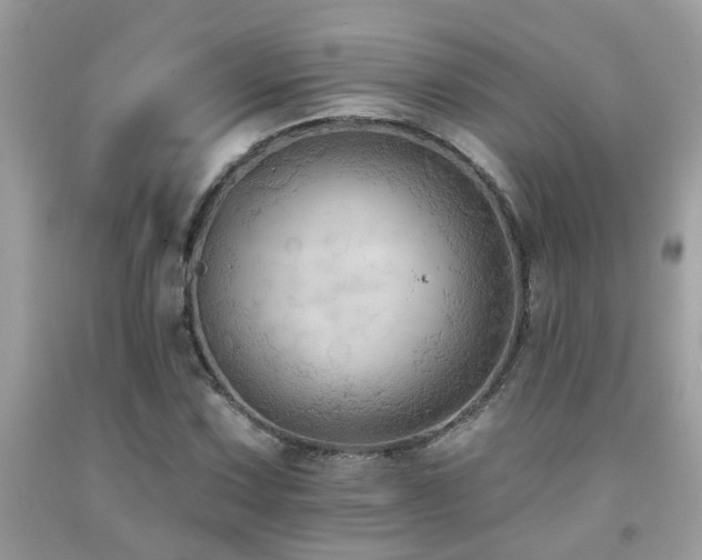 X0000092031067200709061610