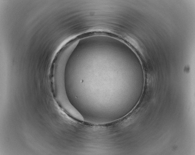 X0000092031068200709061610