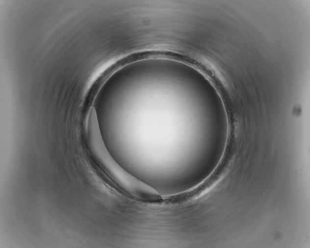 X0000092031069200709061610