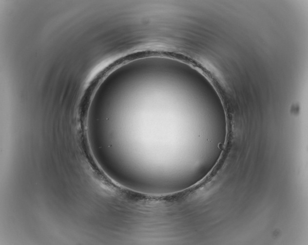 X0000092031070200709061610