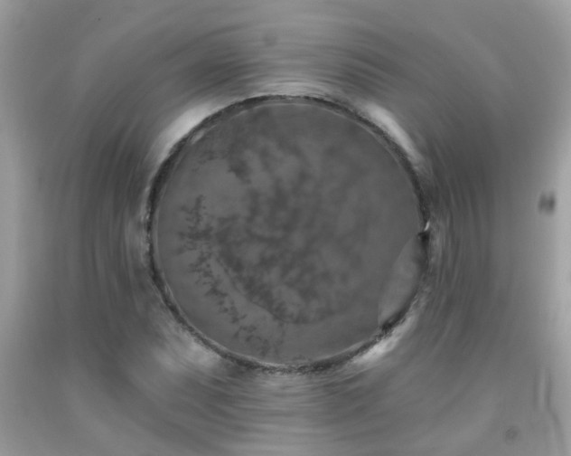 X0000092031071200709061610