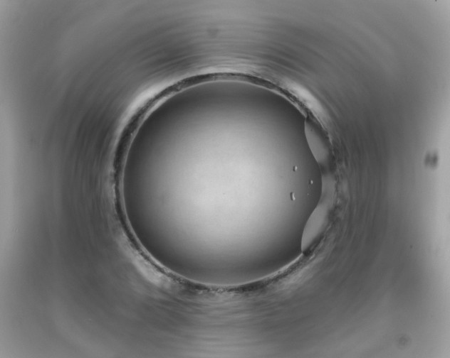 X0000092031072200709061610