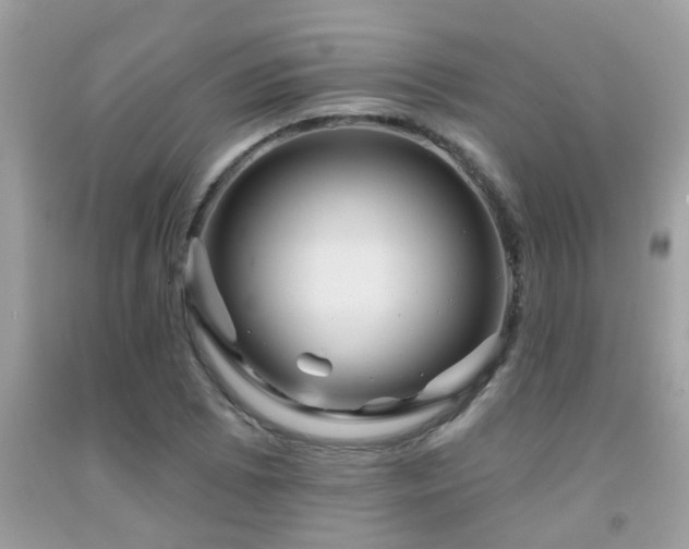 X0000092031073200709061610