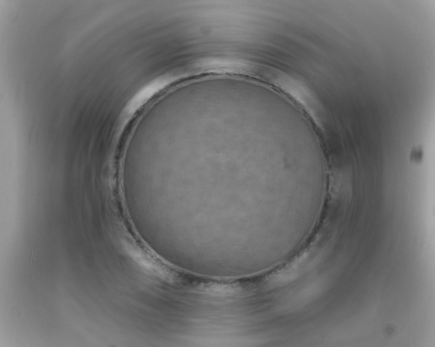 X0000092031074200709061610