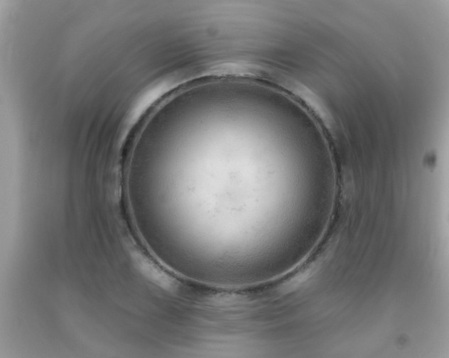 X0000092031075200709061610
