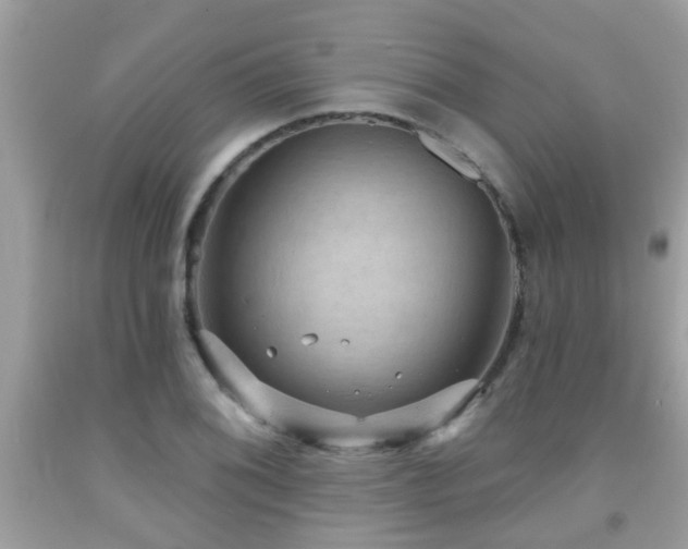X0000092031076200709061609