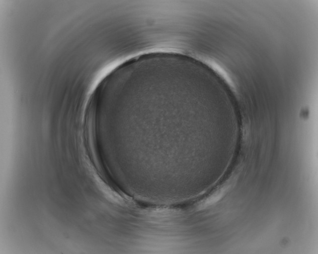 X0000092031077200709061609