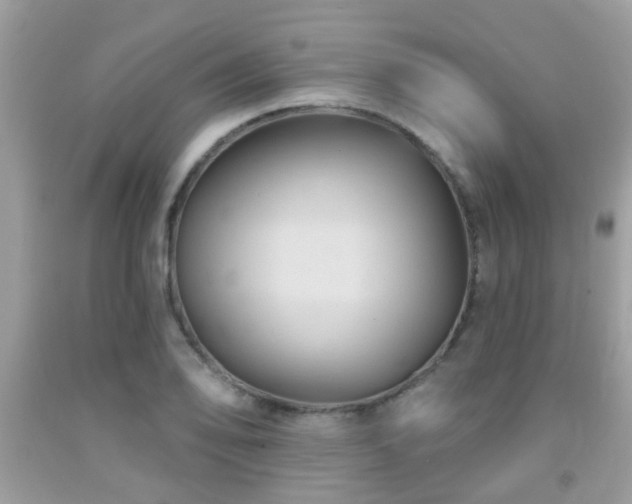 X0000092031078200709061609